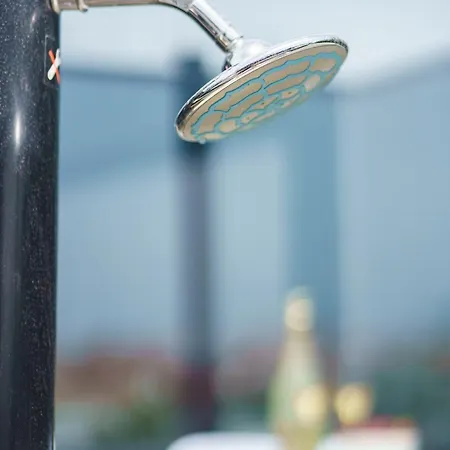 Tria Quercus 보디체