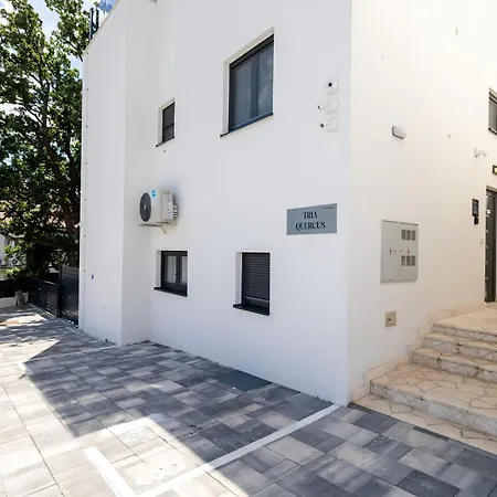 Tria Quercus 보디체